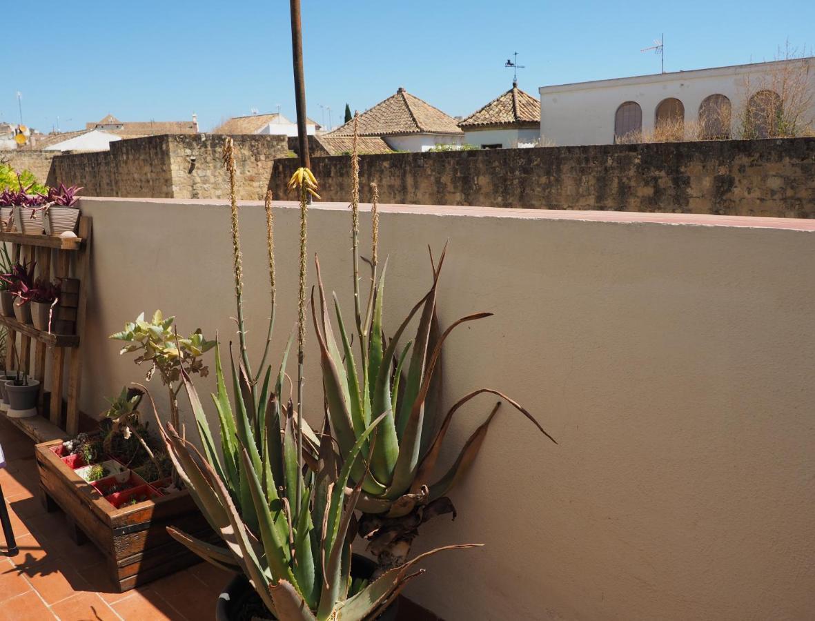 Apartamento en Judería La Murallita Córdoba Exterior foto